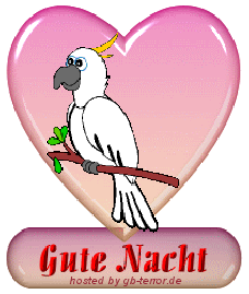 GB-Bild Gute Nacht