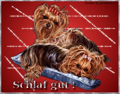 GB-Pic Gute Nacht