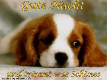 GB-Pic Gute Nacht