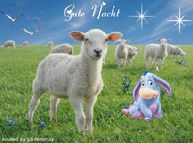 GB Eintrag Gute Nacht