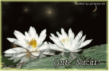GB Eintrag Gute Nacht