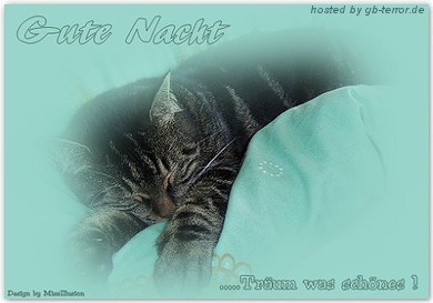 GB Pic Gute Nacht