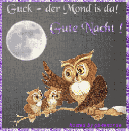 GBBild Gute Nacht
