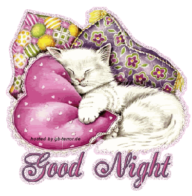 Gute Nacht Gaestebuchbild