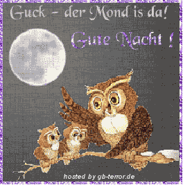 Gute Nacht Gaestebuchbild