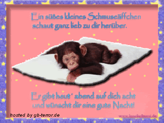 Gute Nacht Gaestebuchbild