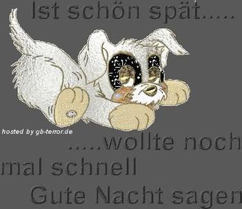 Gute Nacht Gaestebuchbild