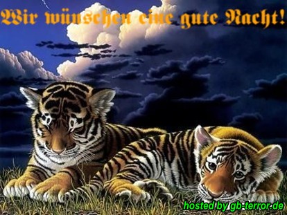 Gute Nacht GB Bild