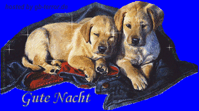 Gute Nacht GB Pic