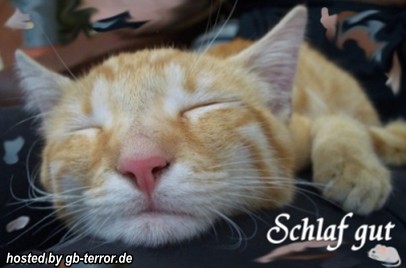 Gute Nacht GBBild