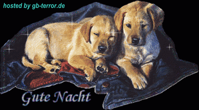 Gute Nacht GBBild