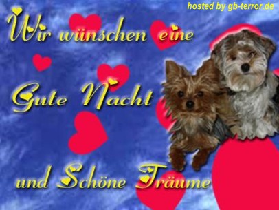 Gute Nacht GBBild