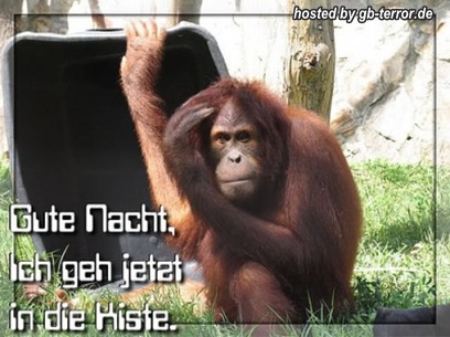 Gute Nacht GBPic