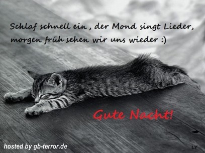 Gute Nacht GBPic