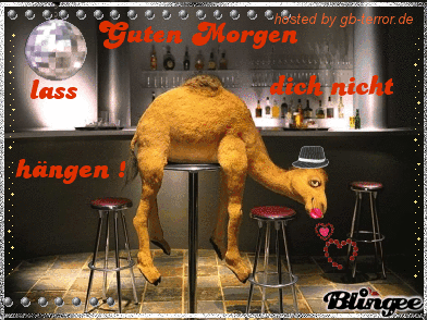 GB-Bild Guten Morgen