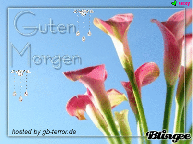 Guten Morgen Gaestebuchbild