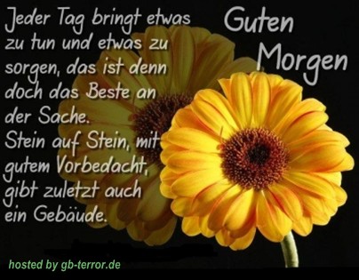 Guten Morgen GB-Pic