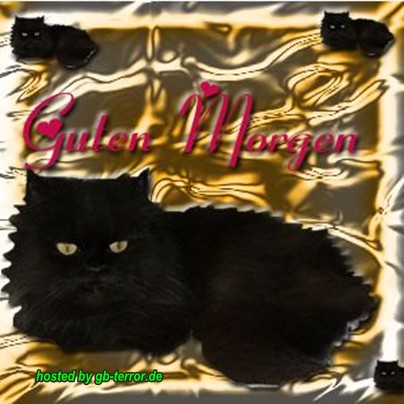 Guten Morgen GB-Pic