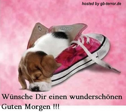 Guten Morgen GB-Pic