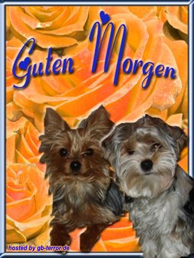 Guten Morgen GB