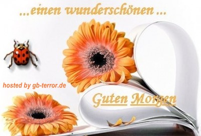 Guten Morgen GB Bild