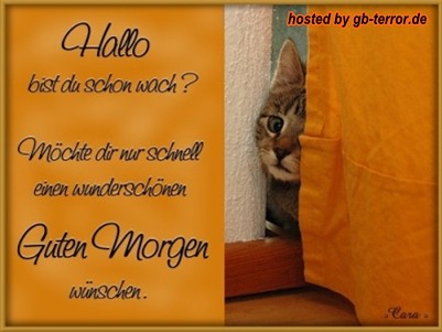 Guten Morgen GB Bild