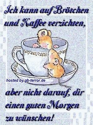 Guten Morgen GB Bild