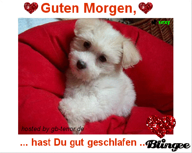 Guten Morgen GB Eintrag