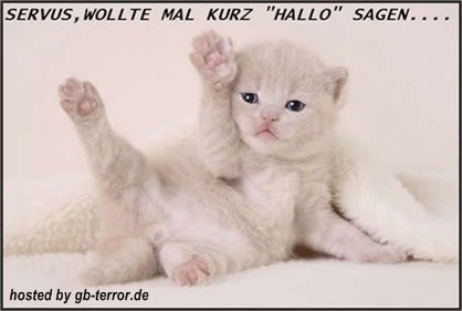 GB Pic Hallo