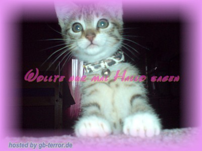 GB Pic Hallo