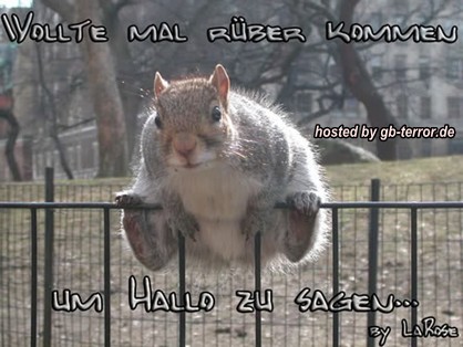 GB Pic Hallo