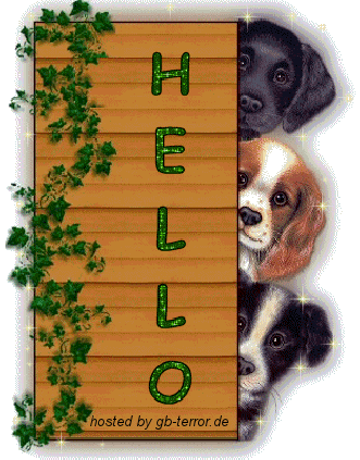 Hello Gaestebuchbild