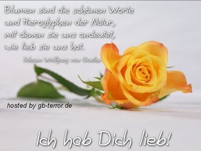 Gaestebuchbild Hab Dich Lieb