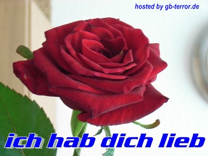 Gaestebuchbild HDL