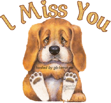 Gaestebuchbild I miss you