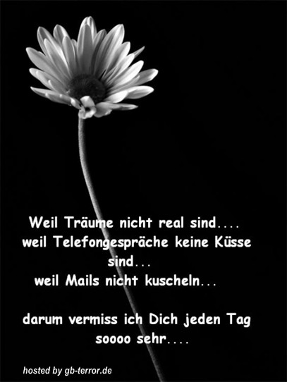 GB Eintrag Ich vermisse Dich