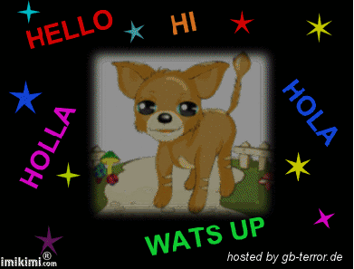 Jappy Haustier GBPic