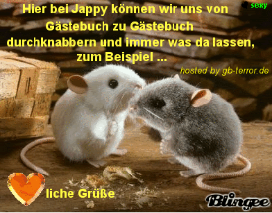 Jappy Gästebuch GBPic