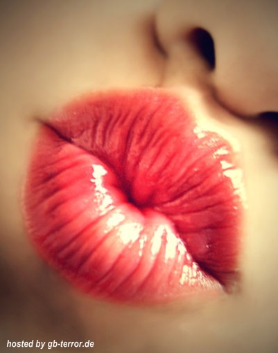 Kuesse Gaestebuch Bild