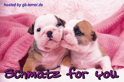 Kuss Gaestebuch Bild