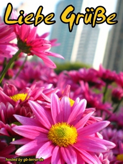 Gaestebuch Bild Gruesse