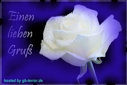 Gaestebuch Bild Gruesse