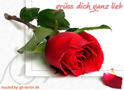 Gaestebuch Bild Gruesse