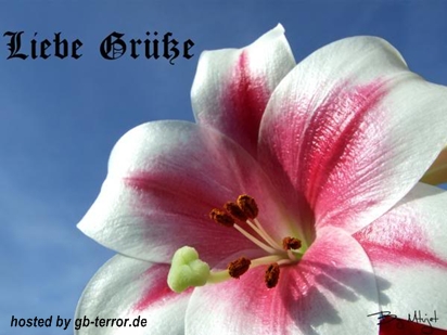 Gaestebuch Bild Gruesse