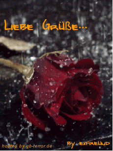 Gaestebuch Bild Lieber Gruss