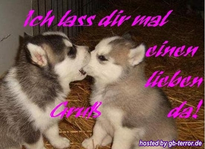 Gaestebuchbild Liebe Gruesse