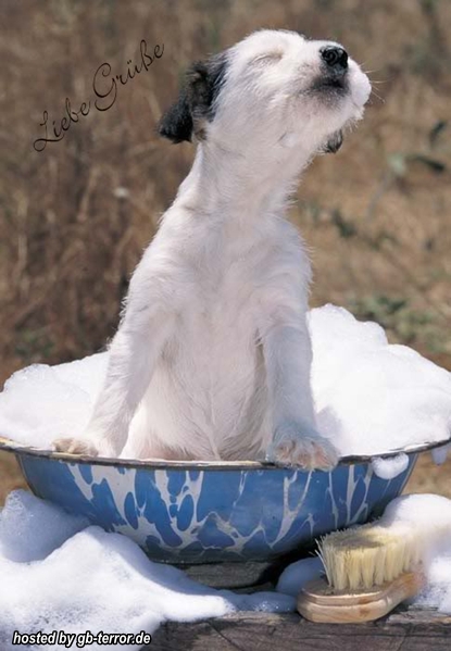 Gaestebuchbild Liebe Gruesse