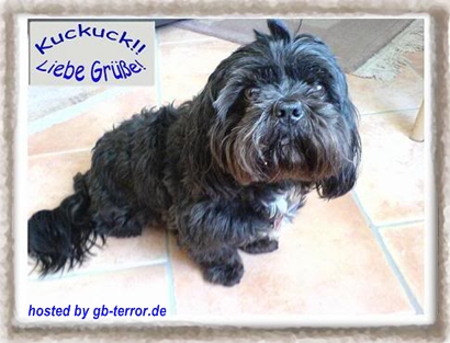 GB-Bild Liebe Gruesse