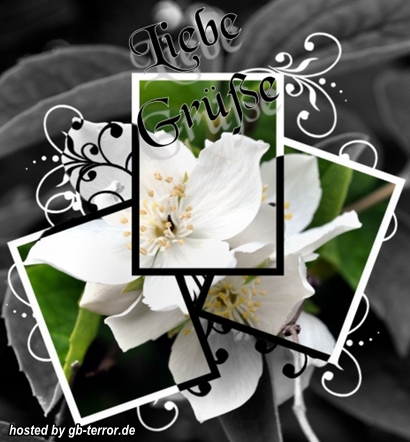 GB-Bild Liebe Gruesse