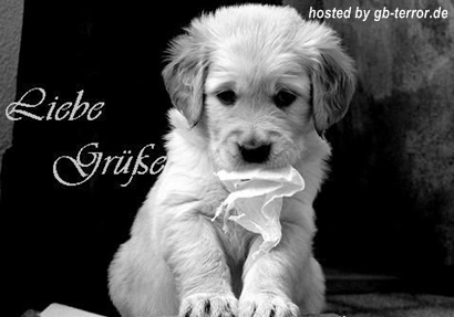 GB Bild Liebe Gruesse